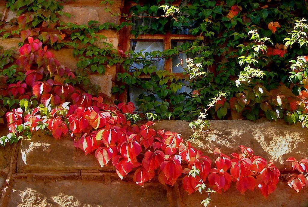 Lake Clarens Guest House Kültér fotó