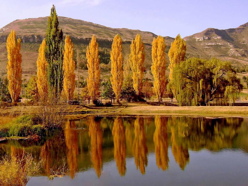 Lake Clarens Guest House Szoba fotó